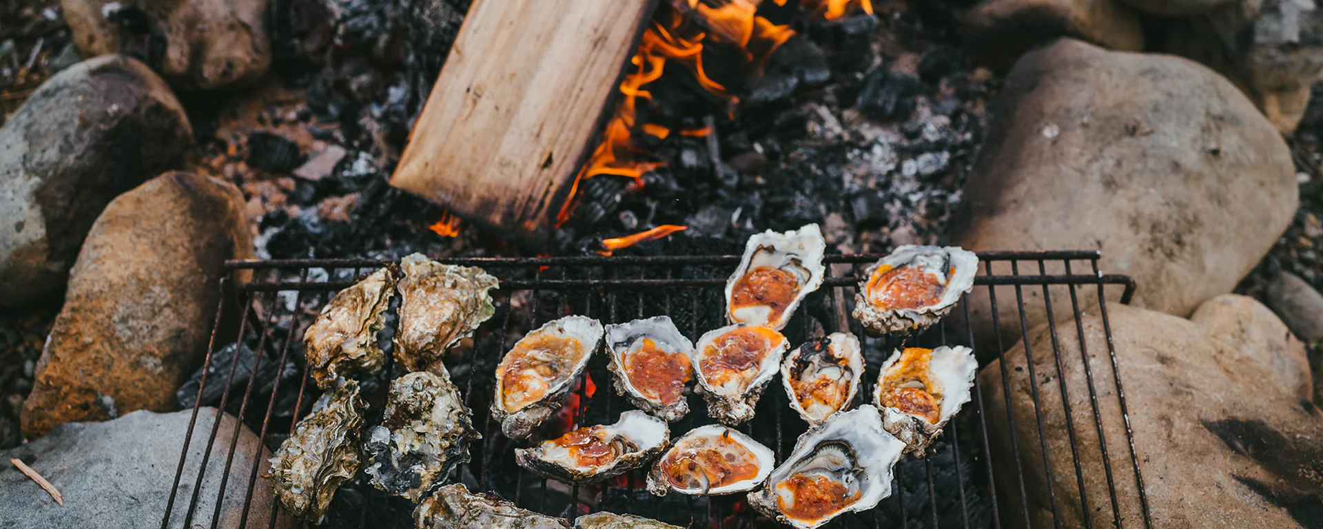 Fresh Oysters From Our Shore